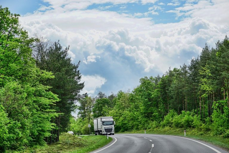 nature, road, tree